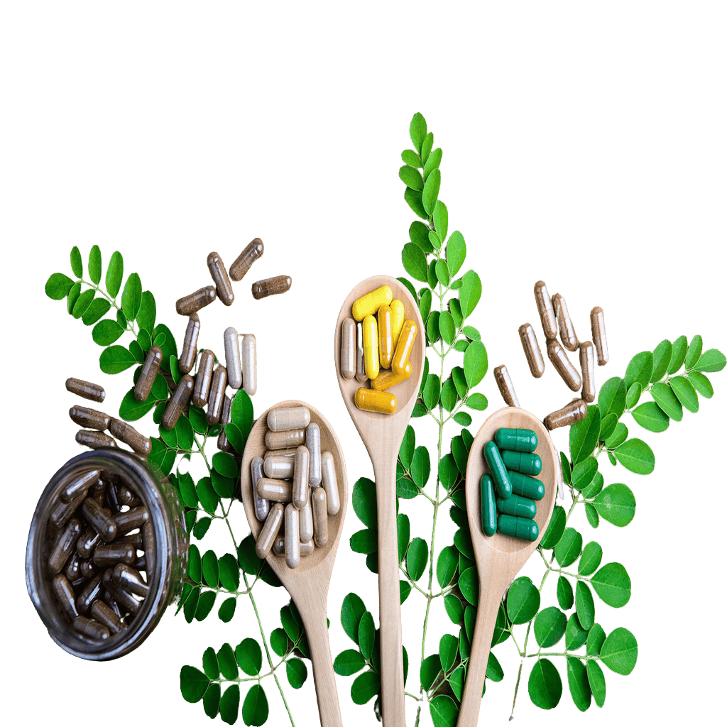 Natural Nairitya Products raipur